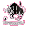 https://img.zhaojingy.com/img/football/team/97c3ef30cac48cadff97605e387feefa.png